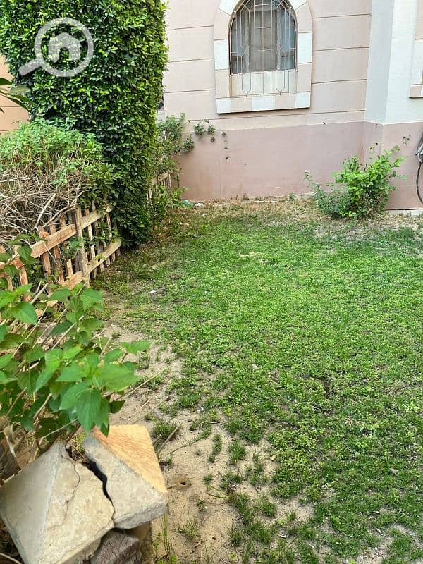 4 53b2fec6-551e-4a12-ac90-feed565a100e. jpg