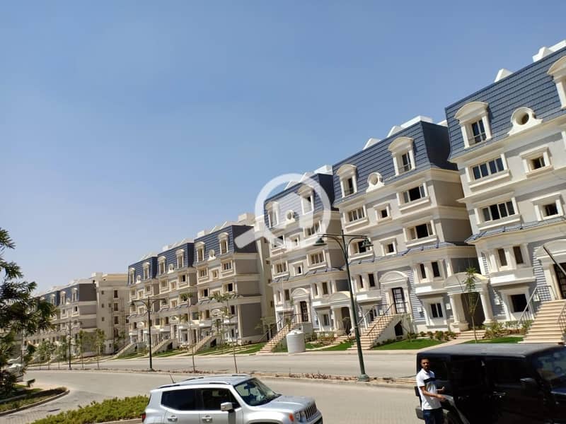 5 WhatsApp Image 2025-11-07 at 08.46. 45_94d1bab3. jpg