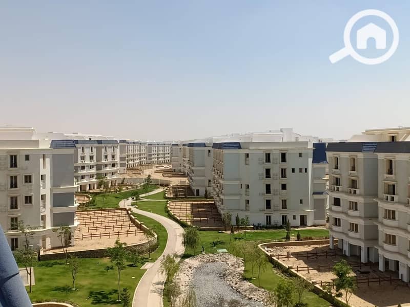 5 WhatsApp Image 2025-11-07 at 08.46. 36_a293008b. jpg