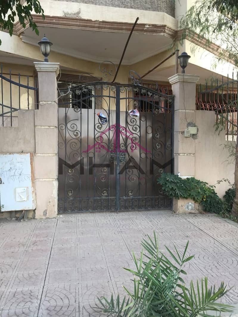 6 photo_5794055146420505723_y. jpg