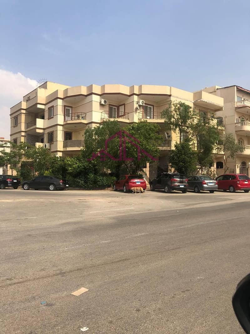 11 photo_5794055146420505730_y. jpg