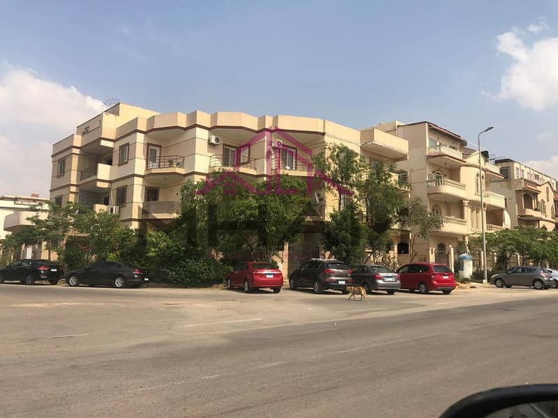 12 photo_5794055146420505731_y. jpg