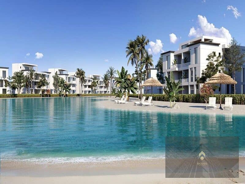 4 70d23976-67a3-43a6-9889-d091c2fbb782. jpg