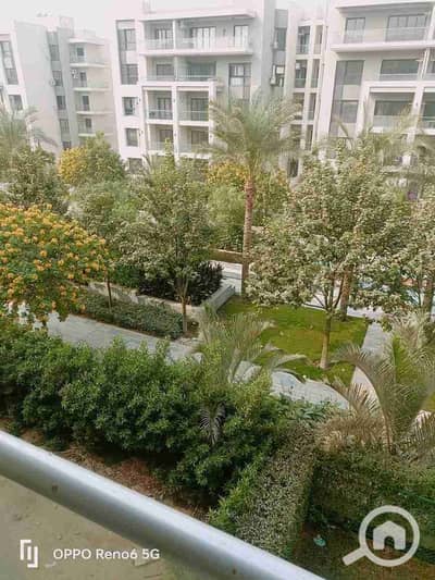 3 Bedroom Apartment for Rent in New Cairo, Cairo - 1001195062. jpg