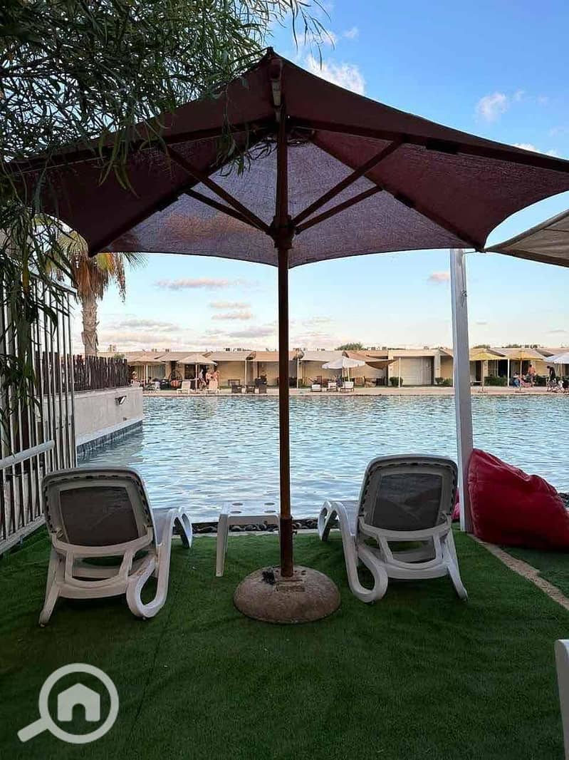 IMG_4631. jpg IMG_4631. jpg