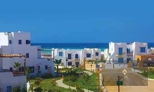 4 KsOsRPd7ZgtTP3tQRDWENBI3IdiZg3PJSONCz9md. jpg