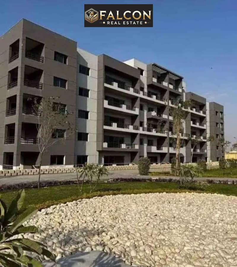 4 WhatsApp Image 2025-09-06 at 3.58. 59 PM (2). jpeg