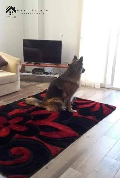 5 IMG-20250414-WA0238. jpg