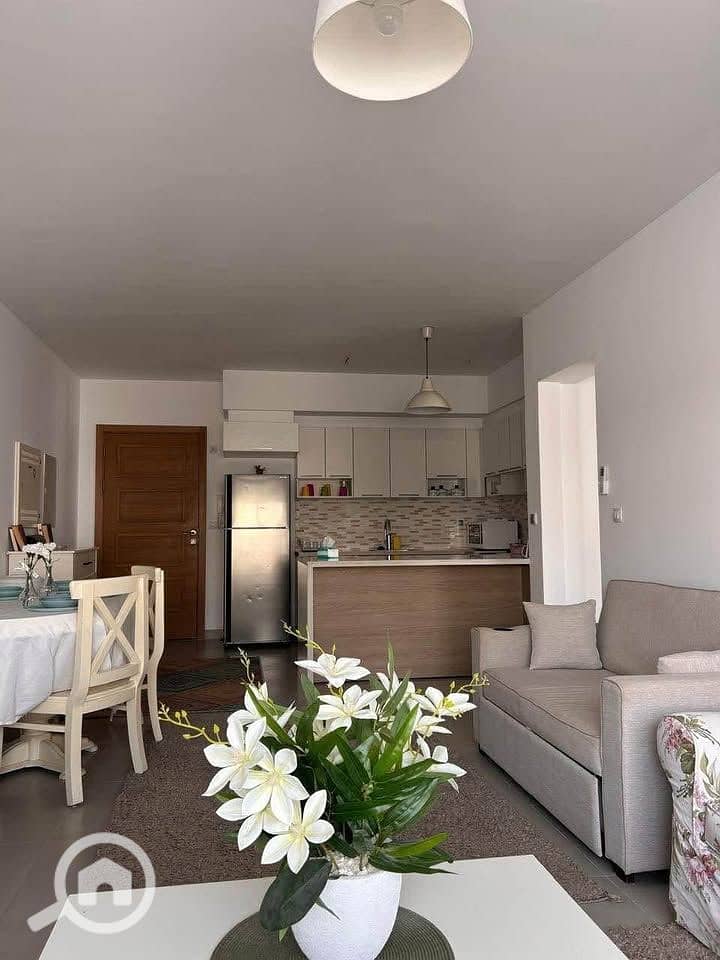 10 518293550_1237584458012935_7678985924346344269_n. jpg