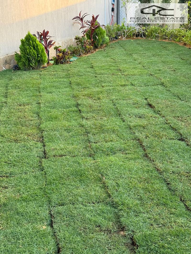 5 WhatsApp Image 2025-02-17 at 3.19. 00 PM (2). jpeg