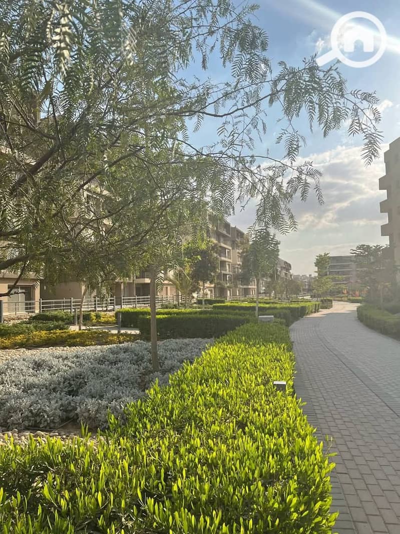 4 FB_IMG_1762626652257. jpg