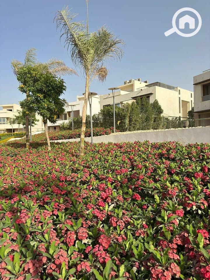 3 513645599_24036663295953157_2330003232577237344_n. jpg