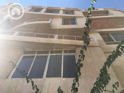 3 Bedroom Flat for Rent in New Cairo, Cairo - WhatsApp Image 2025-11-08 at 1.38. 12 PM (2). jpeg 3 Bedroom Flat for Rent in New Cairo, Cairo - WhatsApp Image 2025-11-08 at 1.38. 12 PM (2). jpeg