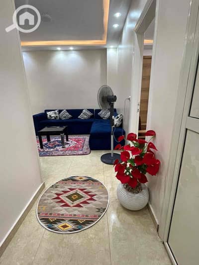 2 Bedroom Hotel Apartment for Rent in Mansura, Dakahlia - a4ca13da-7d11-450c-81ba-b810052e9599. jpg