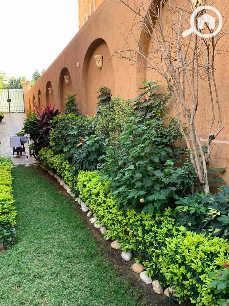 1000572232. jpg 1000572232. jpg