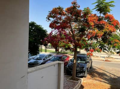 3 Bedroom Apartment for Rent in New Cairo, Cairo - photo_5794225291549936498_y. jpg