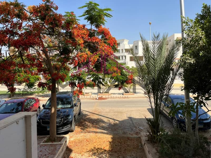 2 photo_5794225291549936499_y. jpg