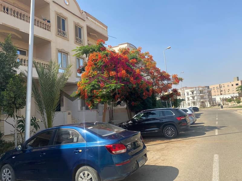 3 photo_5794225291549936501_y. jpg