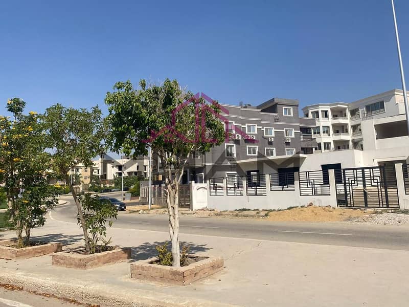 6 photo_5794225291549936504_y. jpg