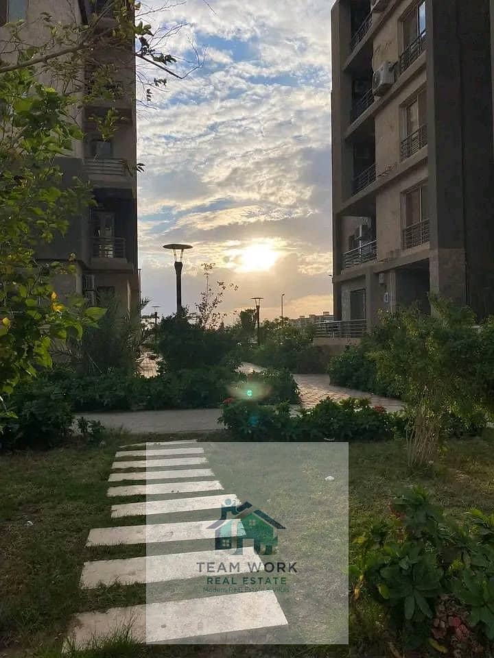 11 578174799_122163003518598092_5099490187860884450_n. jpg