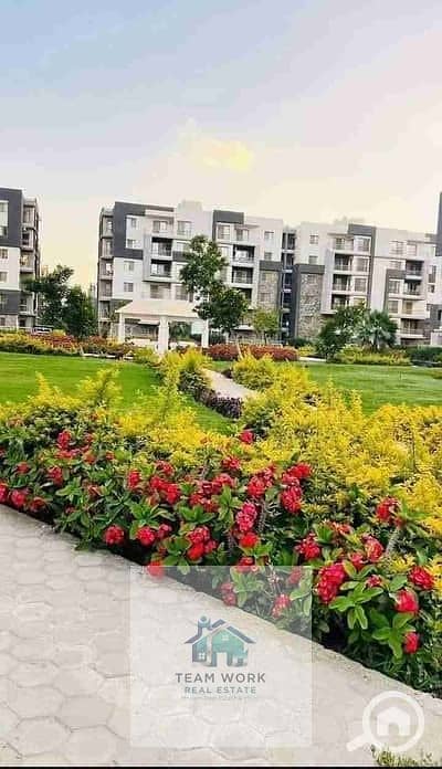 16 32081974-400x300. jpeg