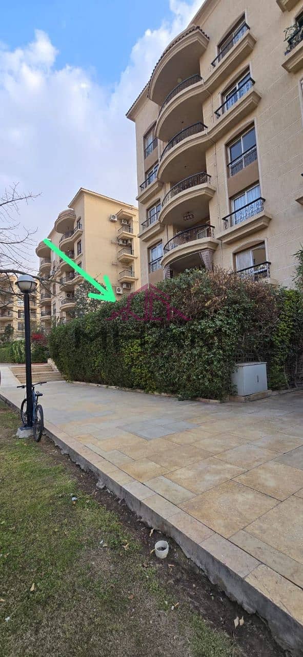 3 photo_5796455693836552978_y. jpg