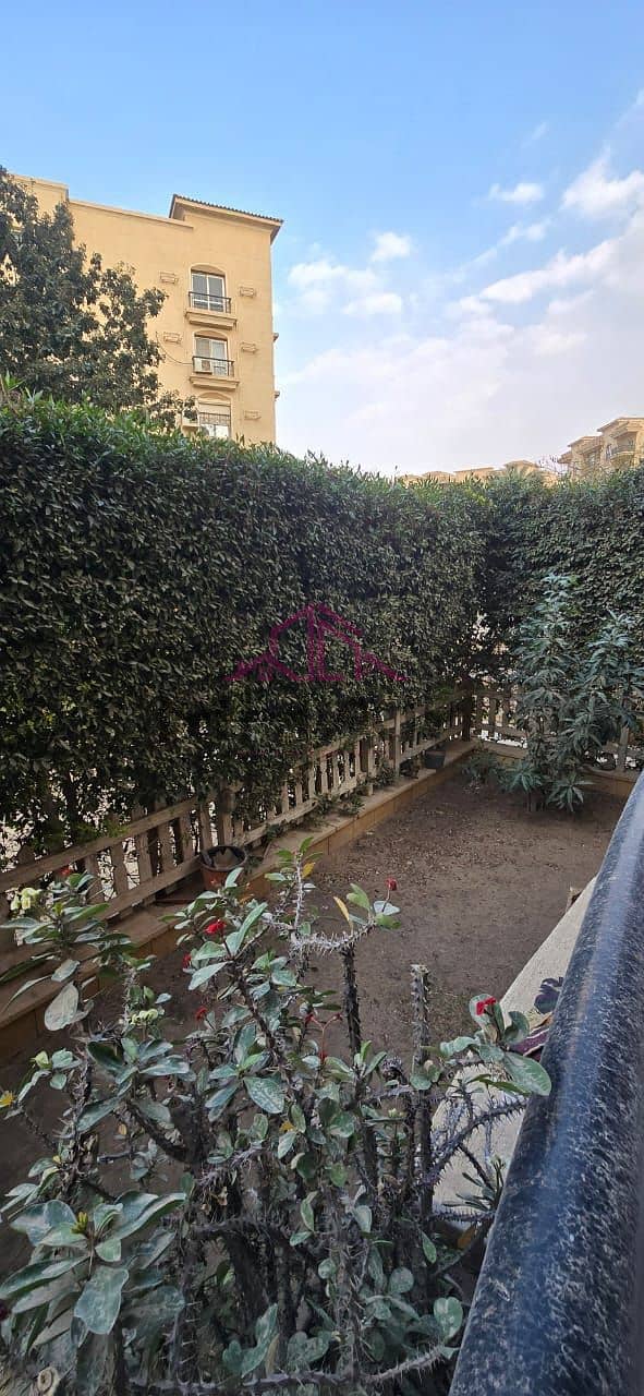 4 photo_5796455693836552980_y. jpg