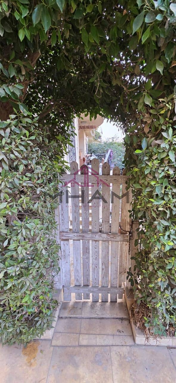 5 photo_5796455693836552981_y. jpg