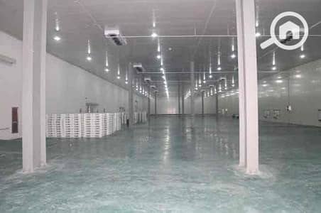 Factory for Rent in New Cairo, Cairo - IMG_4559. jpg