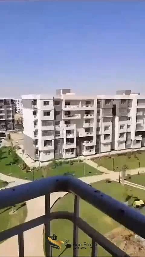 12 577124784_1506277753936085_1267669048403316676_n. jpg