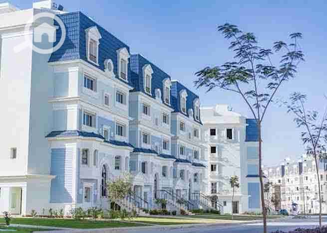 3 images - 2025-11-08T220829.344. jpeg