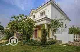 4 images - 2023-04-16T234933.719. jpeg