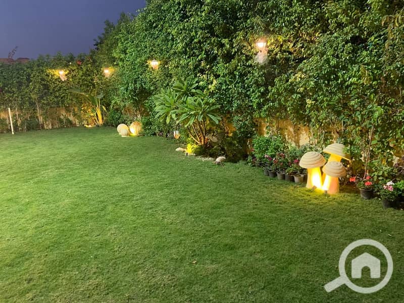 2 7d0b38ff-ee29-4dbc-94ae-ec0bc08bbe48. jpeg