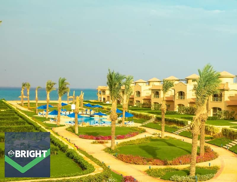 4 WhatsApp Image 2025-11-07 at 23.51. 09_6b663a63. jpg