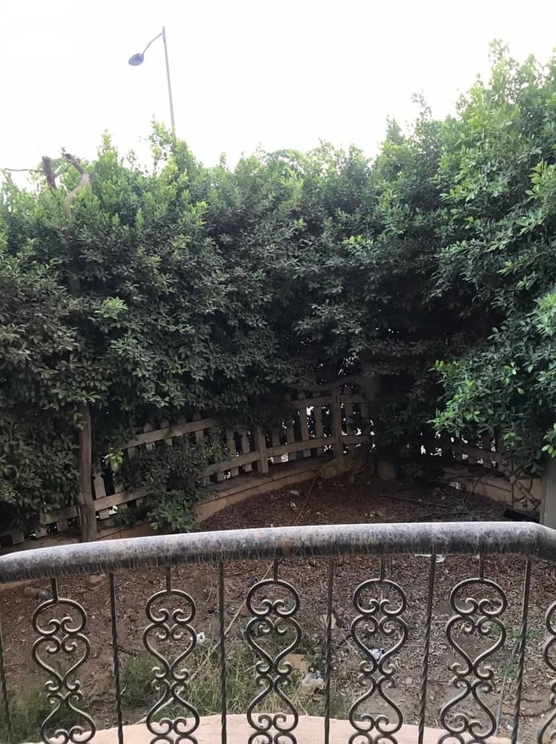 9 63218b79-a6cf-4977-b4b1-5f77506c30aa. jpeg