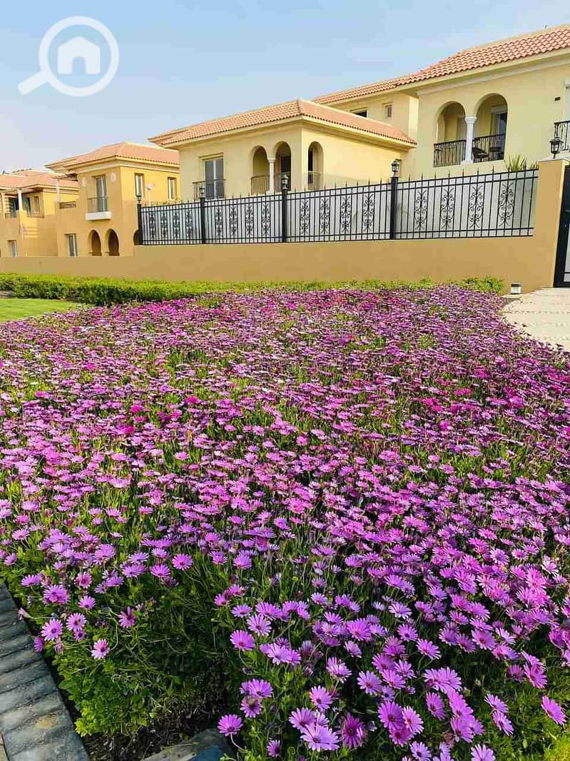 2 IMG_20230326_190108_888. jpg