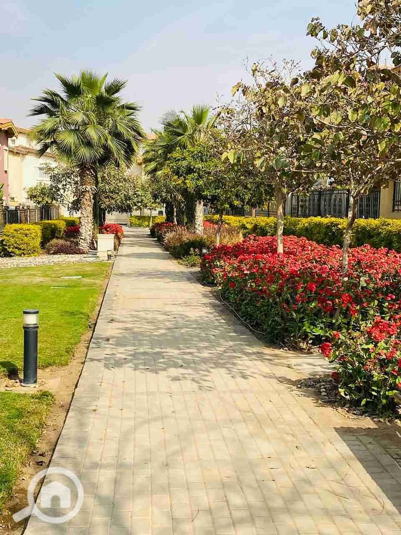 3 IMG_20230326_190047_981. jpg