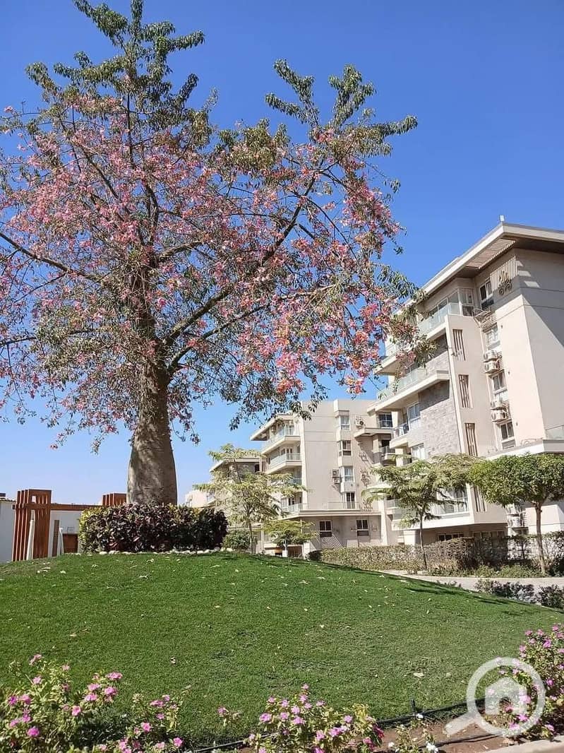 2 WhatsApp Image 2025-07-16 at 11.03. 26 AM. jpeg