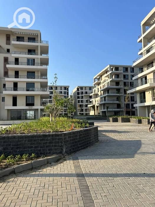 10 547265154_122112501470988780_3793340076458894139_n. jpg