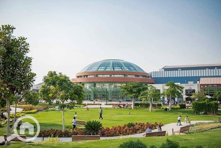 7 316424615_5734372593285764_4917198185680945830_n. jpg