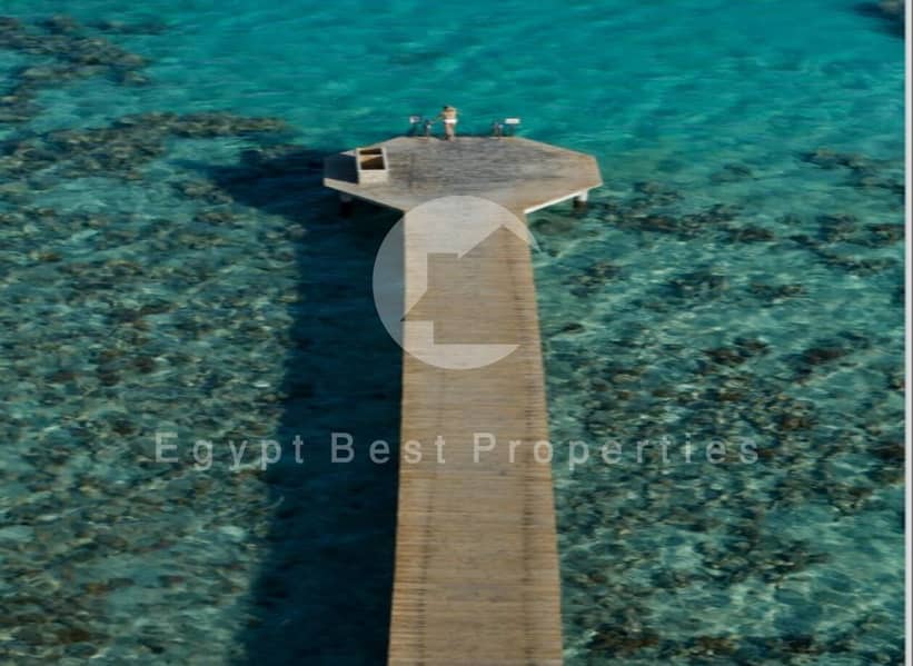 11 18d1066c-ac98-4bdb-b741-d6c511cab13e - Copy - Copy. jpg