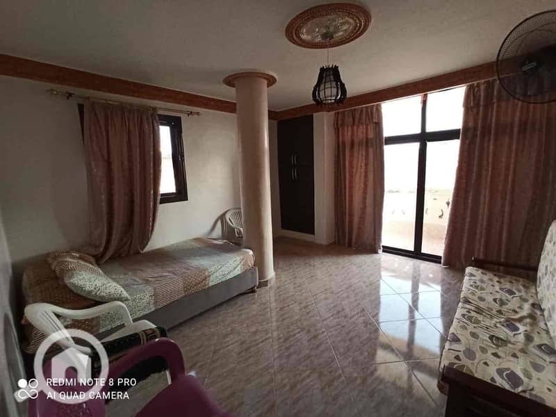 5 b55a9a84-5e2e-4832-95ad-4bfce26ecad3. jpg