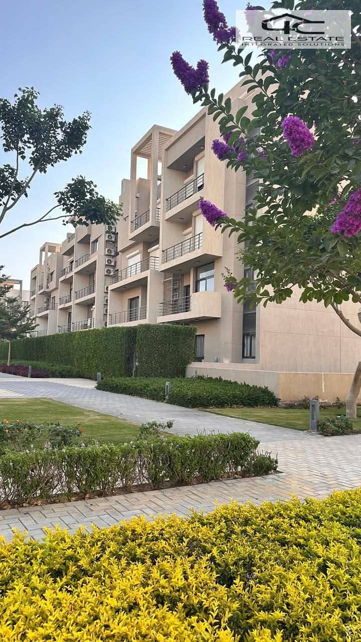 12 WhatsApp Image 2025-07-09 at 1.52. 06 AM. jpeg