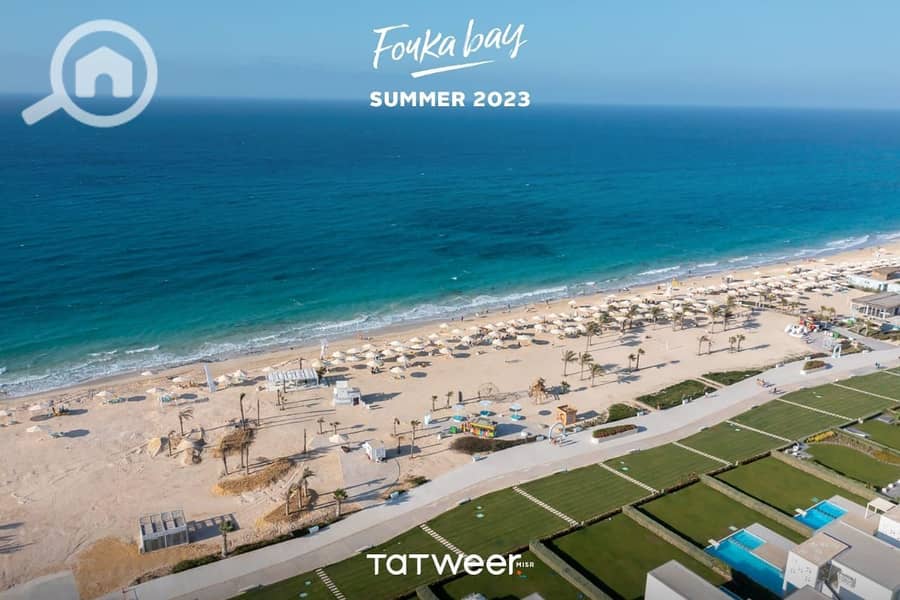 8 photo_2025-02-18_19-40-59. jpg