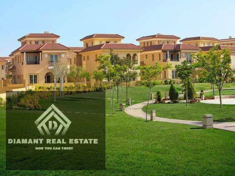 7e681d91-a89a-4b77-b901-ca9f54195325. jpg