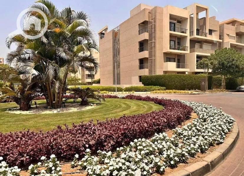 3 WhatsApp Image 2025-11-09 at 3.15. 02 AM (1). jpeg