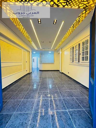 2 Bedroom Flat for Sale in Nakheel, Alexandria - a6714539-505b-4c8f-8ad9-abd1d6fceacc. jpg