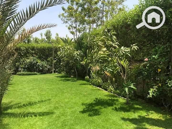 2 FB_IMG_1762661889277. jpg