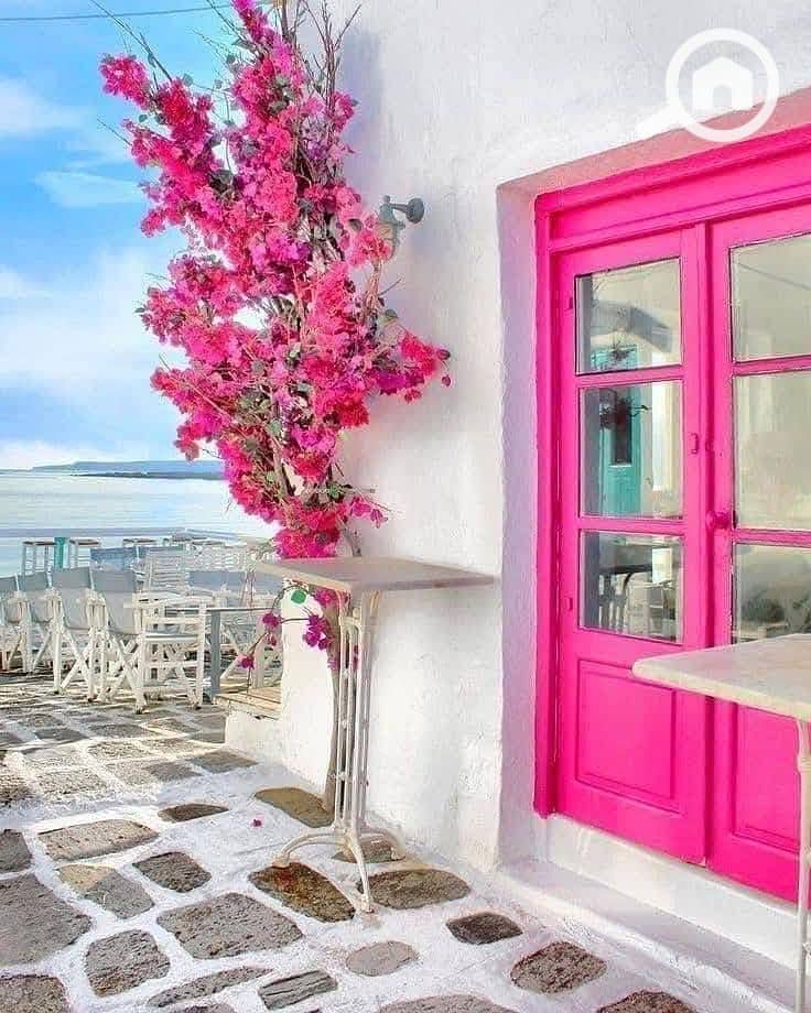 2 555613413_122286298172022208_8256731176312097498_n3. jpg