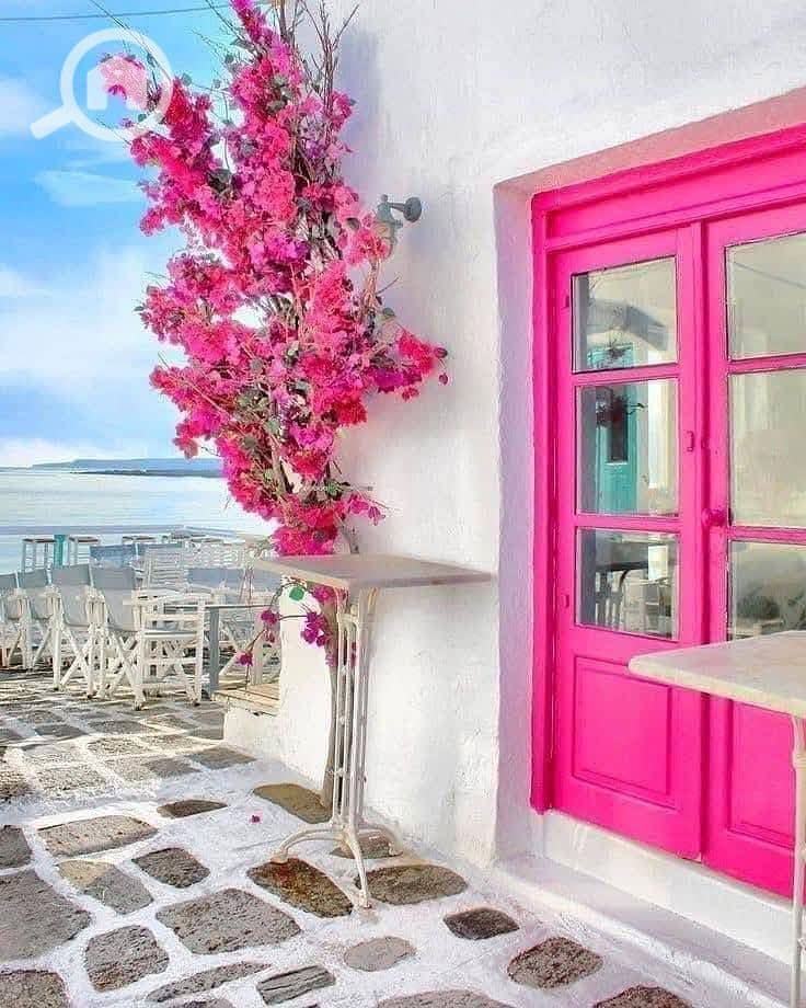 2 555613413_122286298172022208_8256731176312097498_n3. jpg